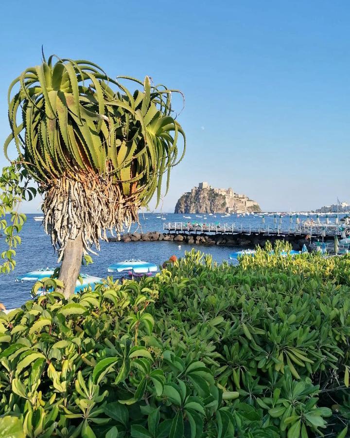 Maison Mele イスキア島 エクステリア 写真
